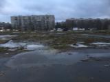 Прикреплённое изображение